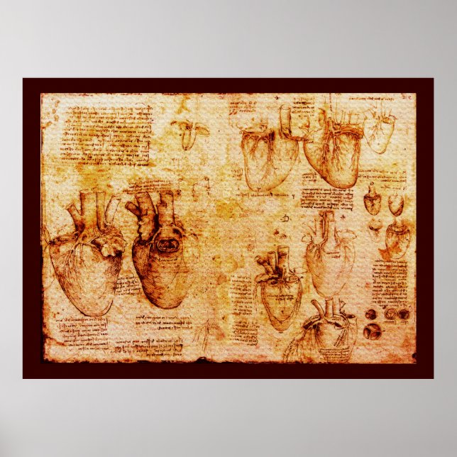 Heart And Its Blood Vessels , Brown Canvas Poster (Front)