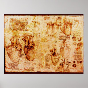 Heart And Its Blood Vessels , Brown Canvas Poster