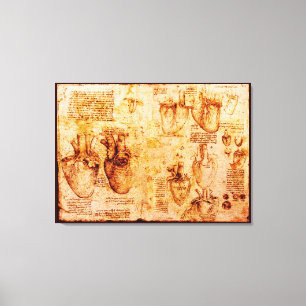 Heart And Its Blood Vessels, Brown Canvas Print