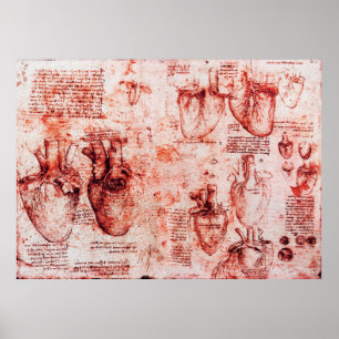 Heart And Its Blood Vessels Leonardo Da Vinci,Red Poster