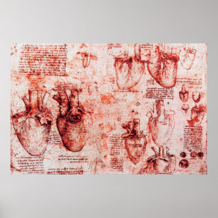Heart And Its Blood Vessels Leonardo Da Vinci,Red Poster