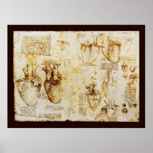 Heart And Its Blood Vessels , Sepia Canvas Poster