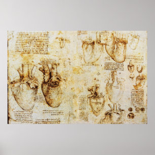 Heart And Its Blood Vessels,Sepia Poster