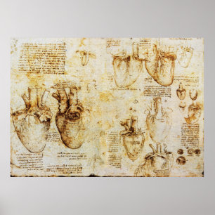 Heart And Its Blood Vessels,Sepia Poster
