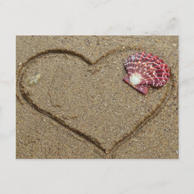 heart and shell on beach postcard (Front)