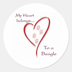 Heart Belongs to Beagle; Love Beagles; Beagle Love Classic Round Sticker