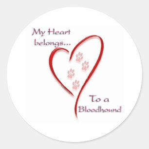 Heart Belongs to Bloodhound; Love Bloodhounds; Classic Round Sticker