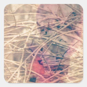 Heart Bird Abstract Digital Art Square Sticker