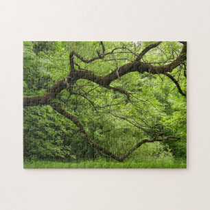 heart branch jigsaw puzzle
