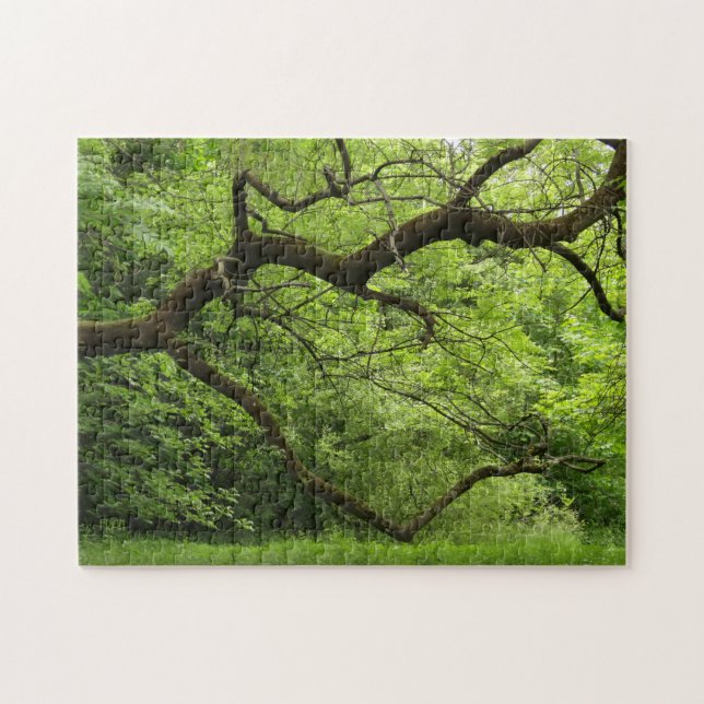 heart branch jigsaw puzzle (Horizontal)