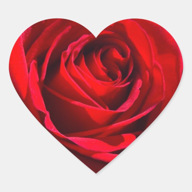 Heart Deep Red Rose Heart Sticker (Front)
