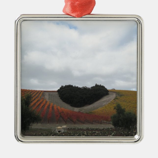 Heart Hill at Niner Estates, in Autumn Metal Ornament (Front)