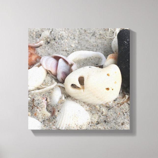 Heart in a Shell canvas print 12x12 framed (Front)