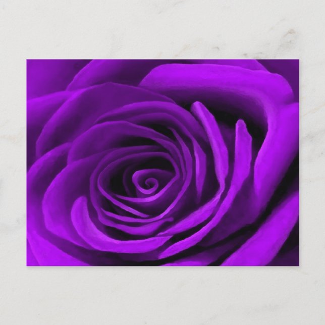 Heart Of A Purple Rose Postcard (Front)