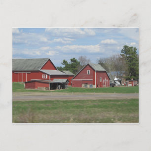 Heart  of life postcard