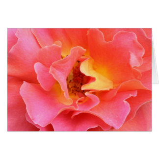 heart of the rose blank card