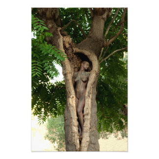 Heart of the Tree by Johannes Stötter Photo Print