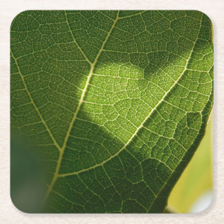 Heart on a Sunlit Leaf Coaster