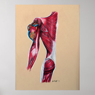 Heart on Sleeve Poster