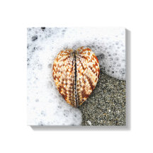 Heart on the Beach