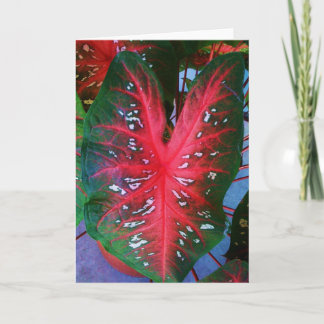 Heart Plant Greeting Card