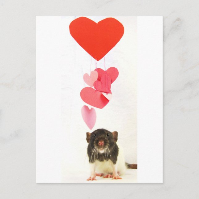 Heart Rat Postcard (Front)