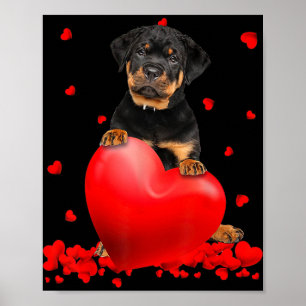 Heart Rottweiler Dog Lover Christmas Valentines Da Poster