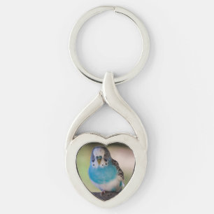 Heart Shape Keychain Parakeet