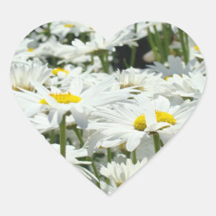 Heart Shape stickers Summer Daisy Flowers Seals