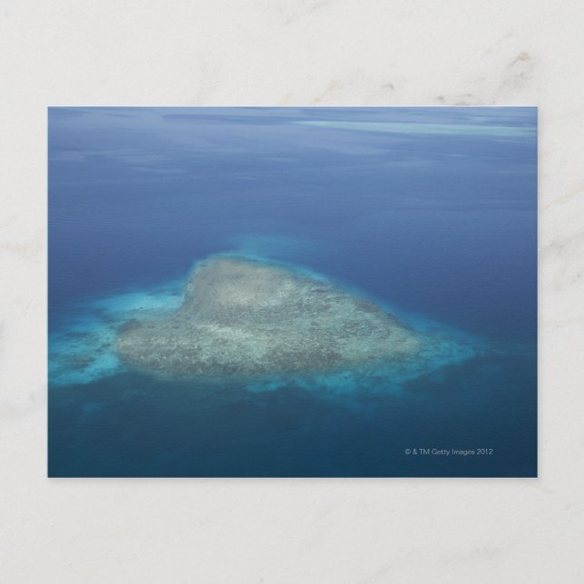 Heart shaped coral reef postcard (Front)