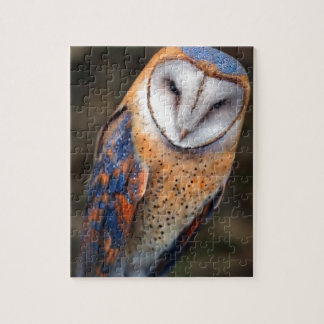Heart-Shaped Face Barn Owl Jigsaw Puzzle