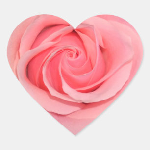 Heart Shaped Pink Rose Stickers