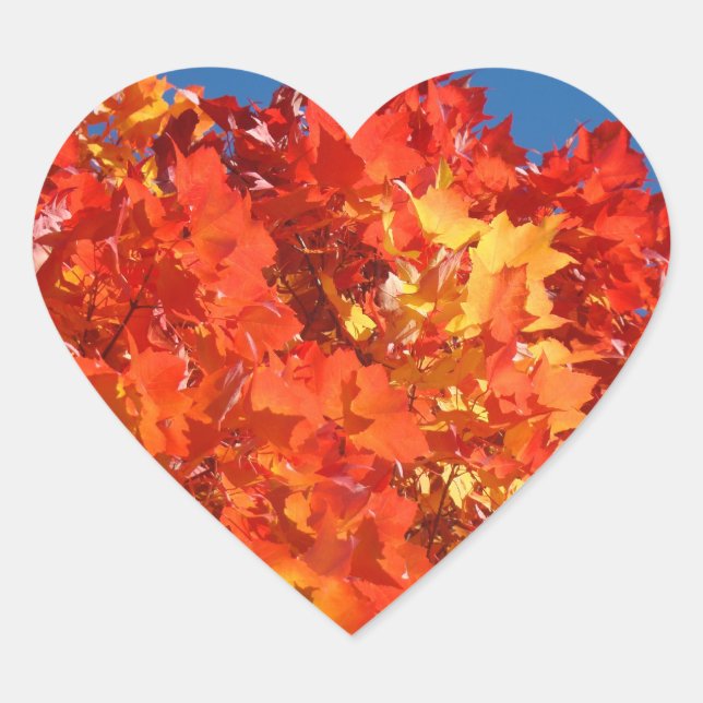 Heart Shaped stickers Bright Orange Red Autumn (Front)