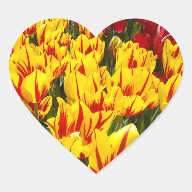 Heart Shaped stickers Tulip Flowers Spring sticker (Front)