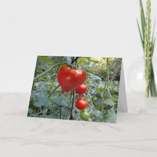 Heart Shaped Tomato "PICK ME!" Holiday Card