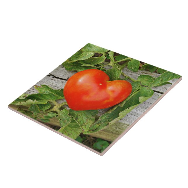 Heart Shaped Tomato Tile (Side)