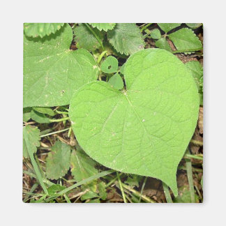 Heart Shaped Vine Magnet