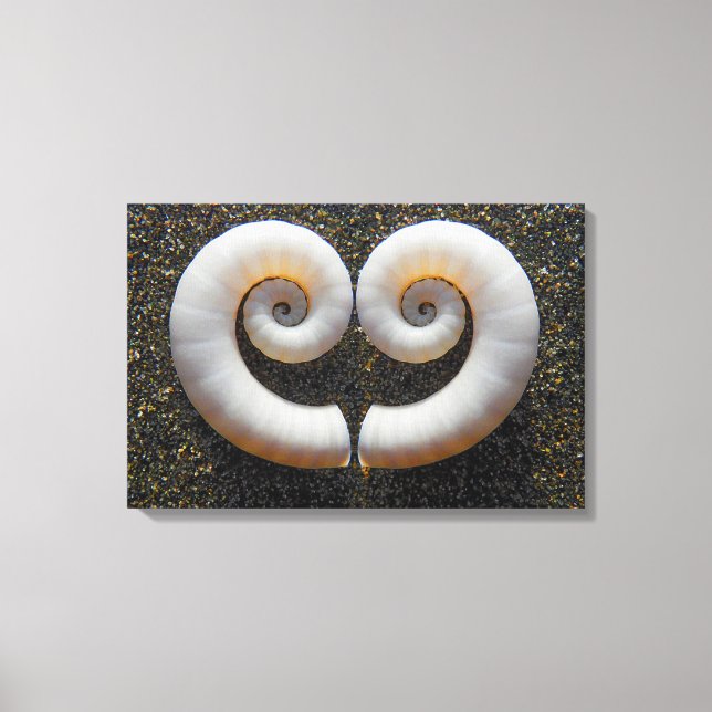 HEART SHELLS 16x24 Canvas Print (Front)