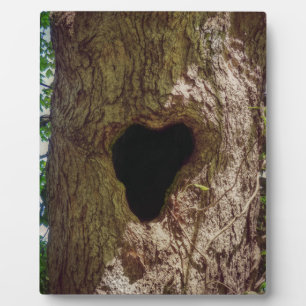 Heart Tree Plaque
