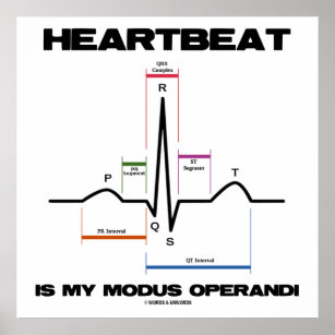 Heartbeat Is My Modus Operandi Sinus Rhythm Poster