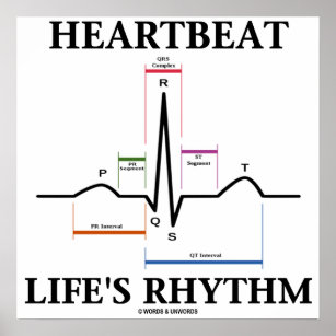 Heartbeat Life's Rhythm (ECG / EKG Heartbeat) Poster