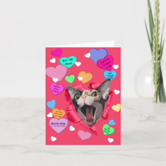 Heartbreaker Sphynx Valentine Card