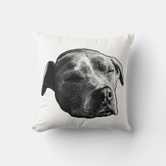 Hearth Whisper Throw Pillow (Front)