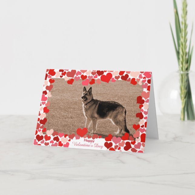 Hearts German Shepherd Valentine's Day Photo Card (Front)