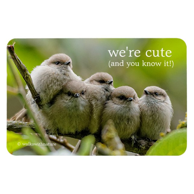 Heartwarming Cute Bushtits Songbirds Family Photo Magnet (Horizontal)