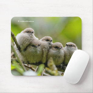 Heartwarming Cute Bushtits Songbirds Family Photo Mouse Pad