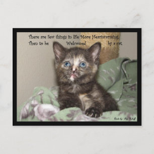 Heartwarming Postcard
