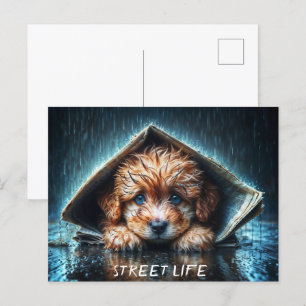 Heartwarming wet canine in stormy weather postcard