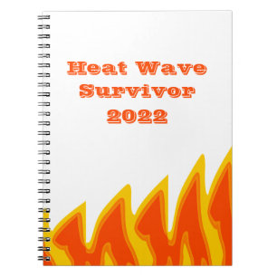 Heat Wave Survivor 2022 Notebook