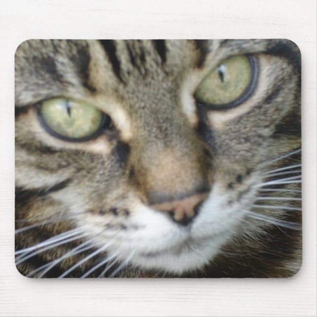 Heather Cat Mouse Mat (Front)